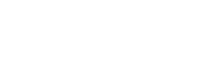 NEAR logo white
